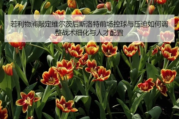 若利物浦敲定维尔茨后斯洛特前场控球与压迫如何调整战术细化与人才配置